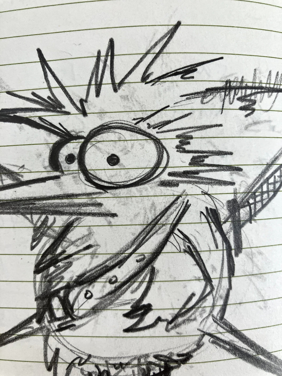 Pirate Chicken Socket - Original Sketch 1/1