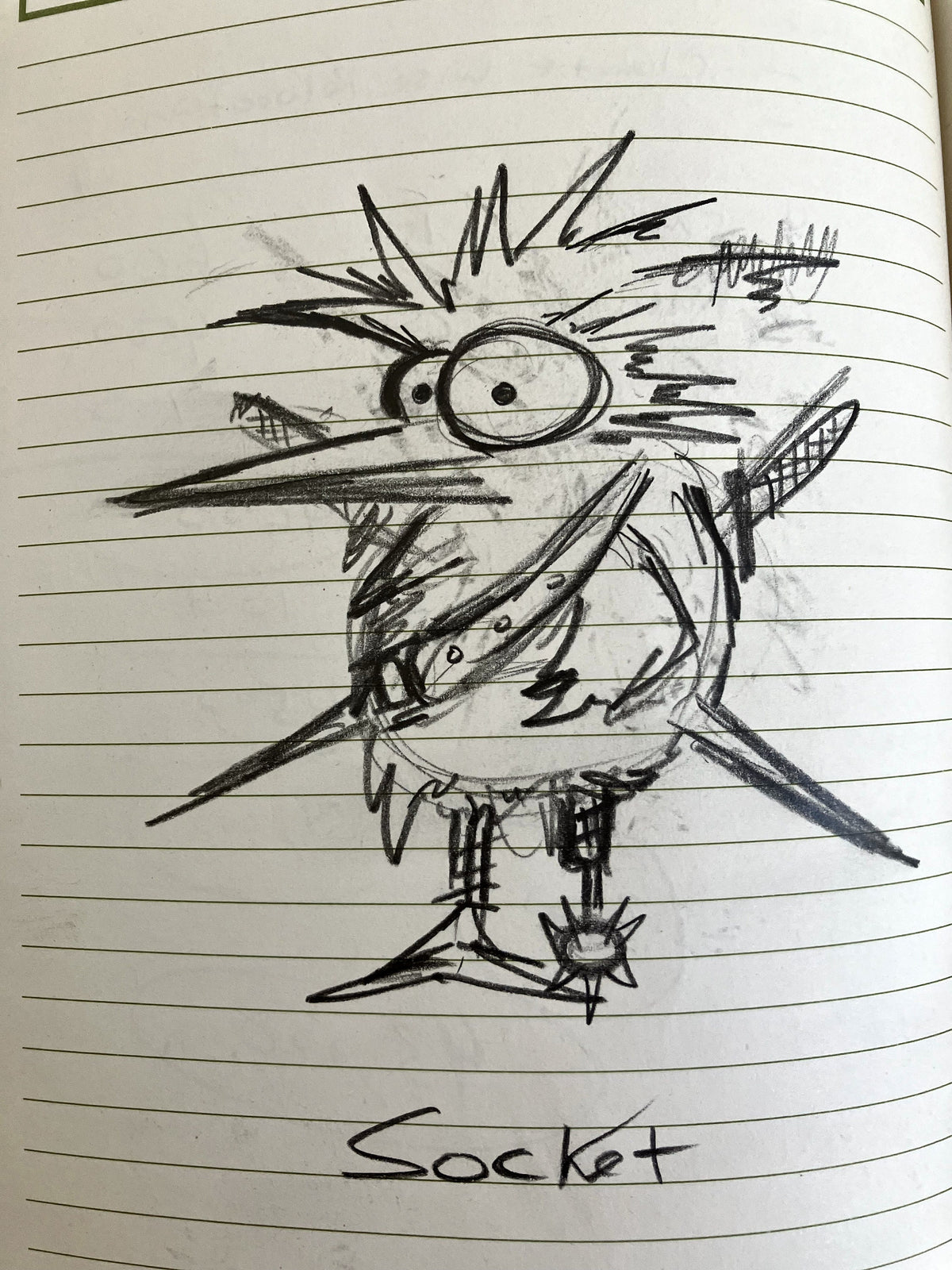 Pirate Chicken Socket - Original Sketch 1/1