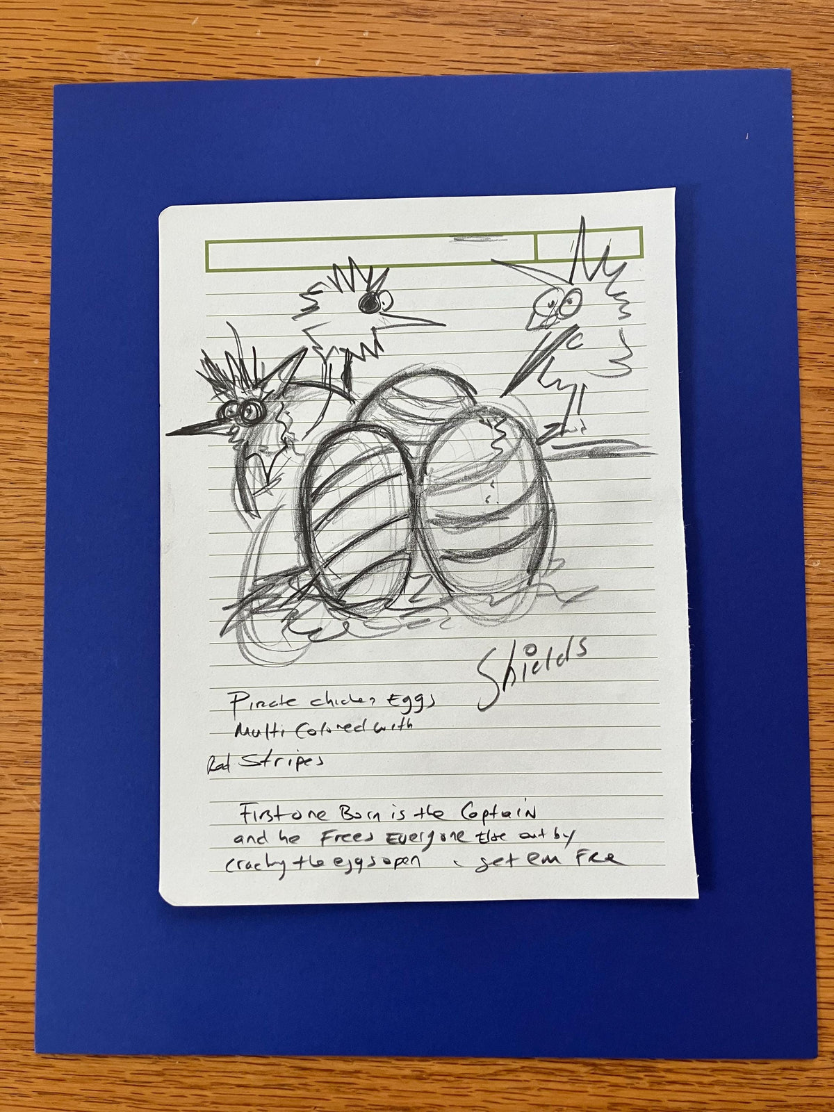 Baby Pirate Chickens Hatching From Eggs  - ORIGINAL SKETCH 1/1
